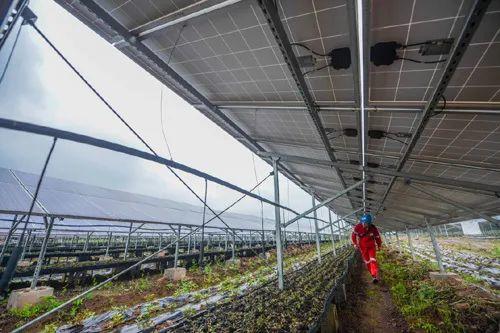 中國(guó)十三省最大光伏電站在這里！欽州康熙嶺的光伏電站能排上號(hào)了嗎？